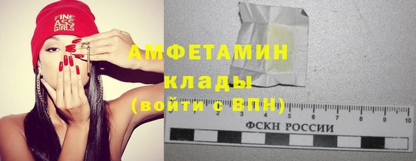 индика Каменка