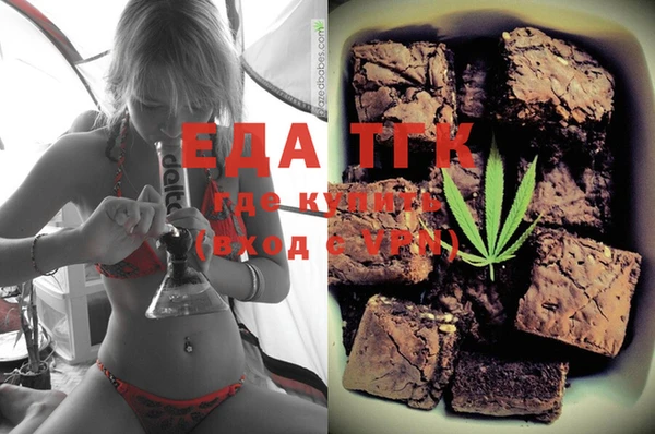 индика Каменка