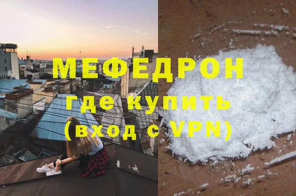 индика Каменка