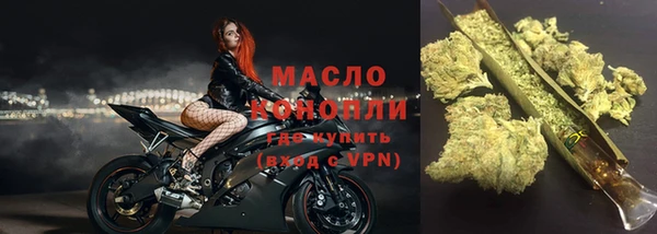 индика Каменка