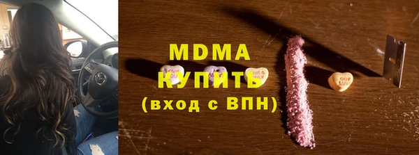 индика Каменка