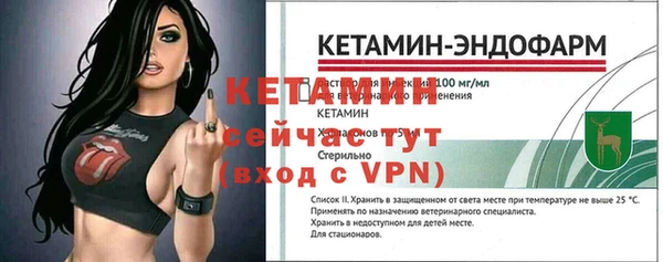 индика Каменка
