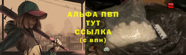 эйфоретик Каменногорск