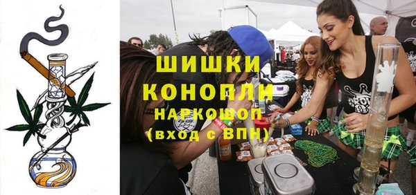 индика Каменка