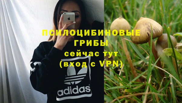 индика Каменка