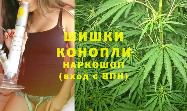 эйфоретик Каменногорск