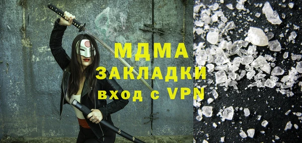 индика Каменка