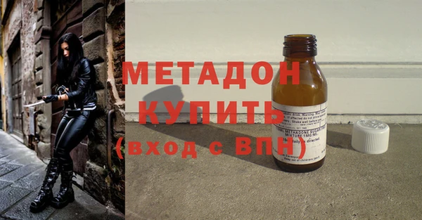 индика Каменка