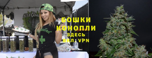 индика Каменка