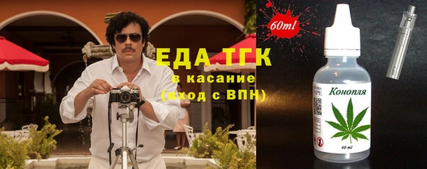 индика Каменка