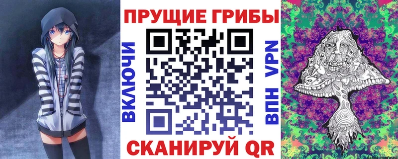 Купить закладки  Гусь-Хрустальный  Галлюциногенные грибы Magic Shrooms 